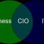 What are the characteristics of a good CIO?